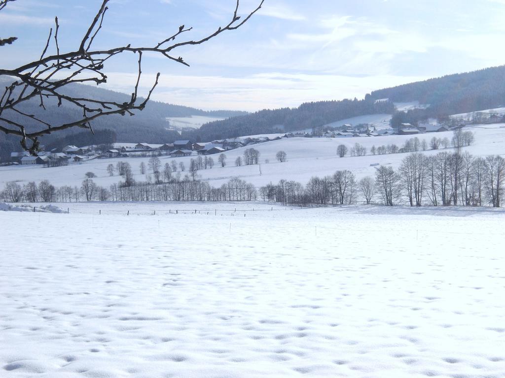 Gasthof-Pension-Kraus Achslach Esterno foto