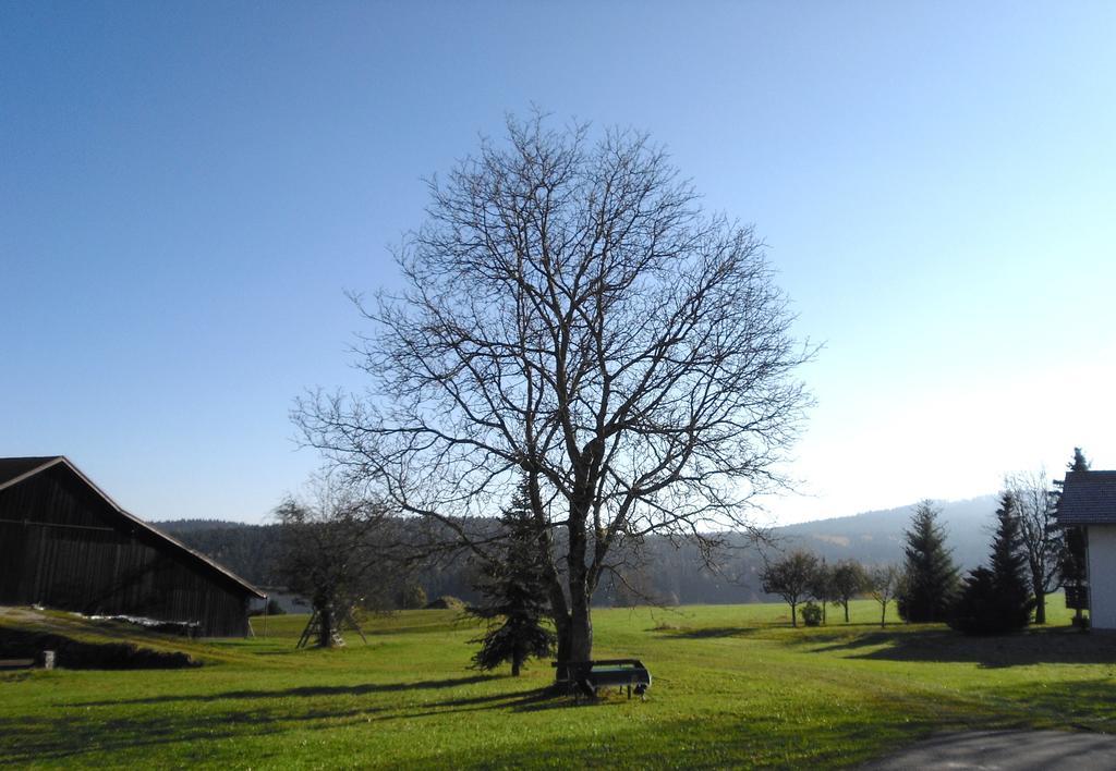 Gasthof-Pension-Kraus Achslach Esterno foto