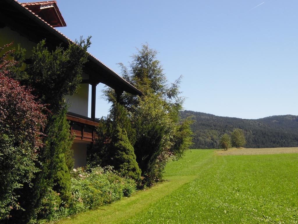 Gasthof-Pension-Kraus Achslach Esterno foto
