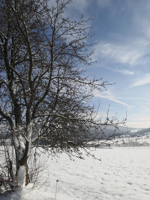 Gasthof-Pension-Kraus Achslach Esterno foto
