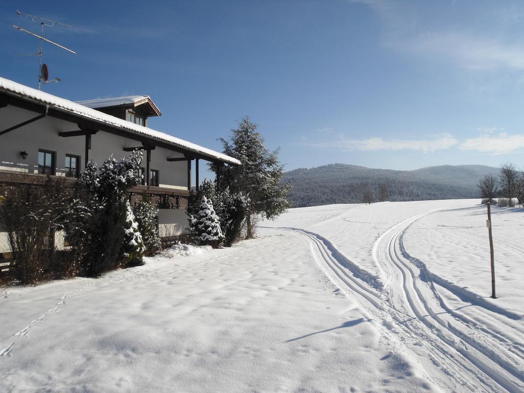 Gasthof-Pension-Kraus Achslach Esterno foto