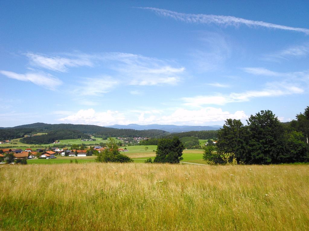 Gasthof-Pension-Kraus Achslach Esterno foto