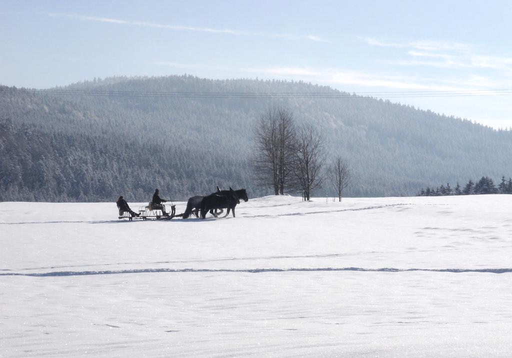 Gasthof-Pension-Kraus Achslach Esterno foto